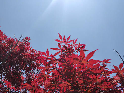  安徽■安徽最有潜力的城市，未来经济有望比肩合肥，不是芜湖也