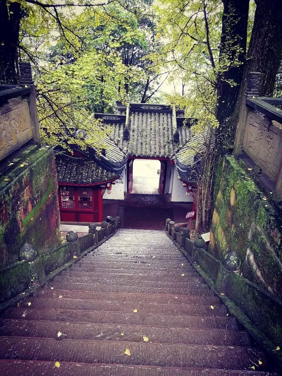 四川这座小城，叫板稻城亚丁，不输江南，藏着亚洲第一云海，高铁