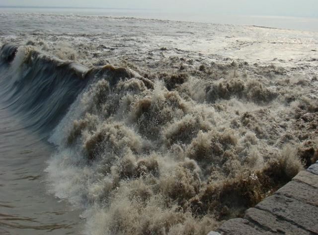 孟浩然最经典的一首诗，只是开头五个字，便令人拍案叫绝！