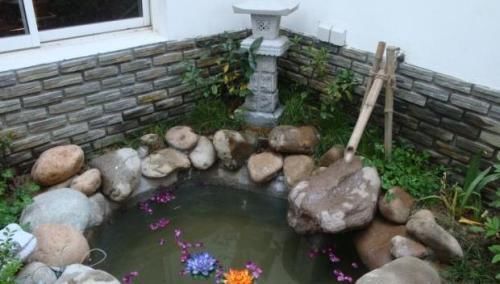 #她家#她家院子里开满了花,像一个小花园,好想去赏花,真美!