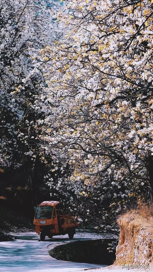 春天最美的十二个地方，你最想去哪个？