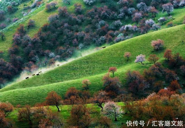 在这些地方的某个角落，遇见一抹春色，足以让你荡漾整个春天