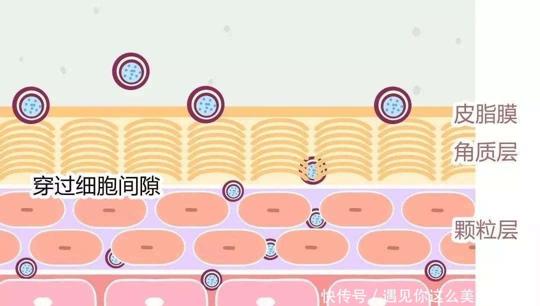  【皮肤屏障】为什么说“过度控油”是油皮护肤“一大坑”？做对这3点才有效