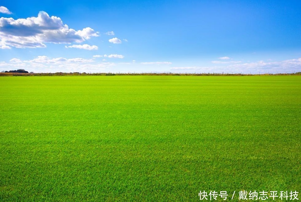 一望无际的大草原上，为什么不长树看完解开我多年的疑惑！