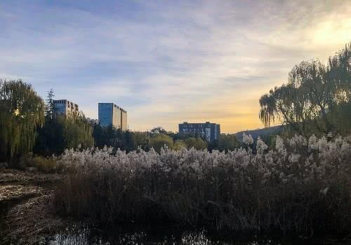 济南龙奥公园，一个僻静的好去处，初冬时节五彩斑斓景色很美