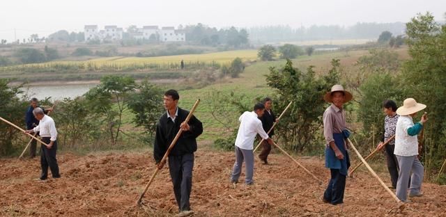 秸秆不禁烧？吉林获“首烧”的资格，农民又可以一把火点着土地
