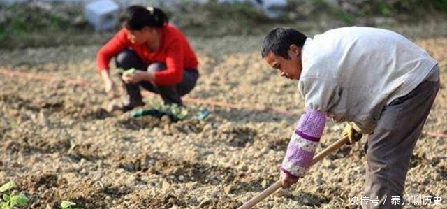 农民收入低农村做这个的人月入十万，项目冷门，市场需求却很大