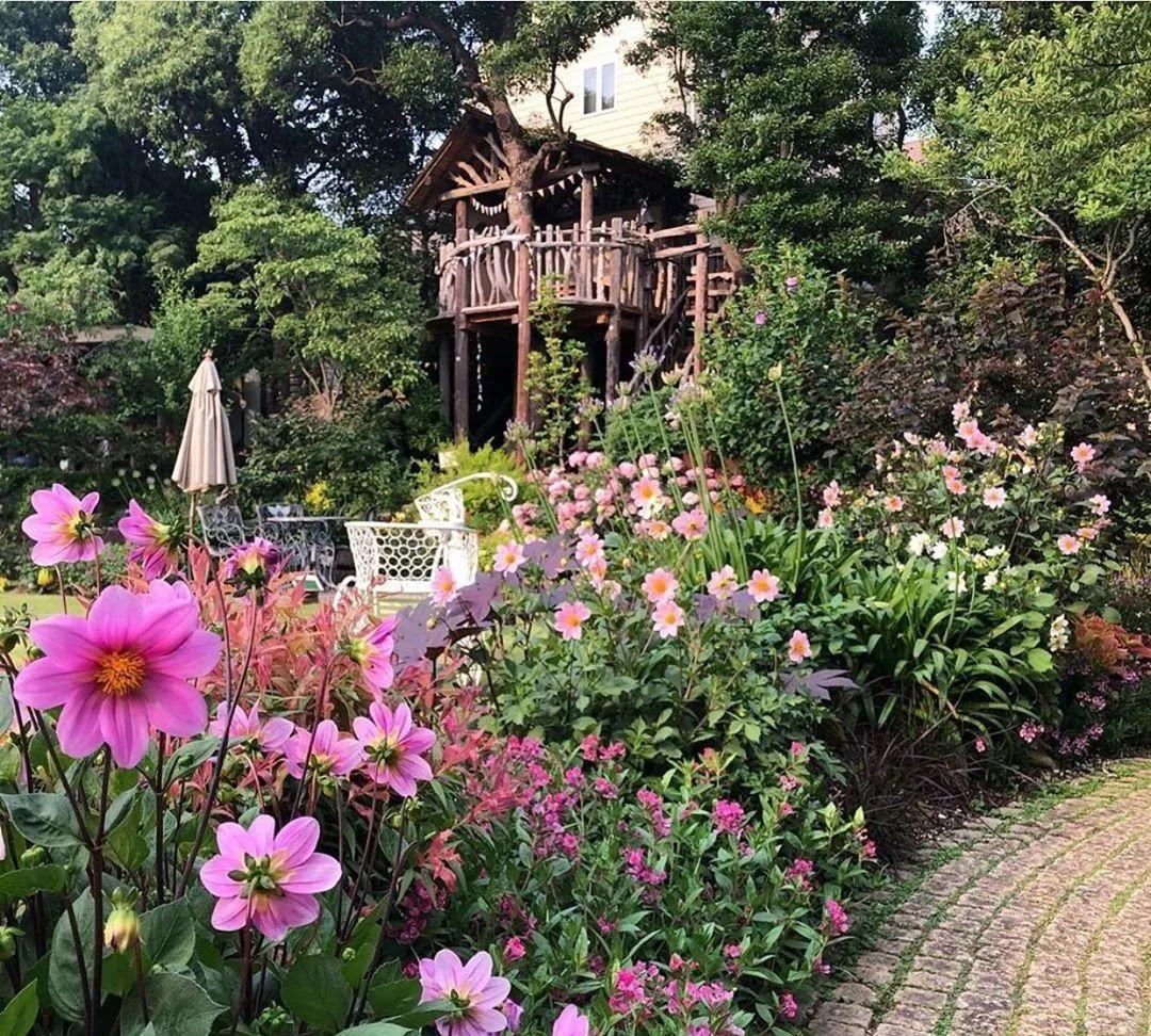  『植物』庭院花园花境设计——花境建造准备！