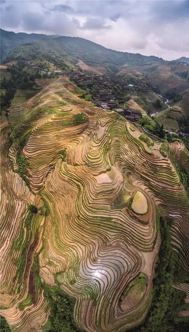 她们都嫁给了农民，但城里人还追到大山里