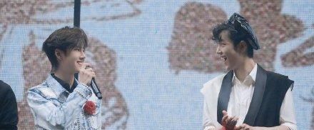 王一博和肖战粉丝