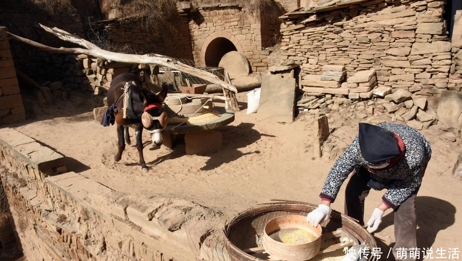  驴皮：一张驴皮能卖千把元，一头驴也能卖上万元，那为啥农民不