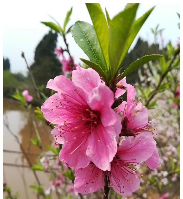 垂钓中■钓鱼中,怎么判断水底鱼钩是否还有饵料?