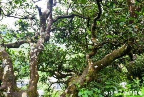  城市|国内名字最长的县：至今不通高速公路和铁路，百姓却富裕又