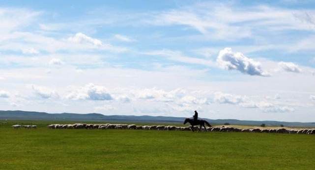 国内最适合自驾游的地方，不去太可惜，风景绝美
