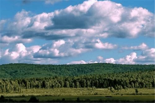  沙子@世界最“伟大”的工程：40年治沙5000万亩，改变了大半个中