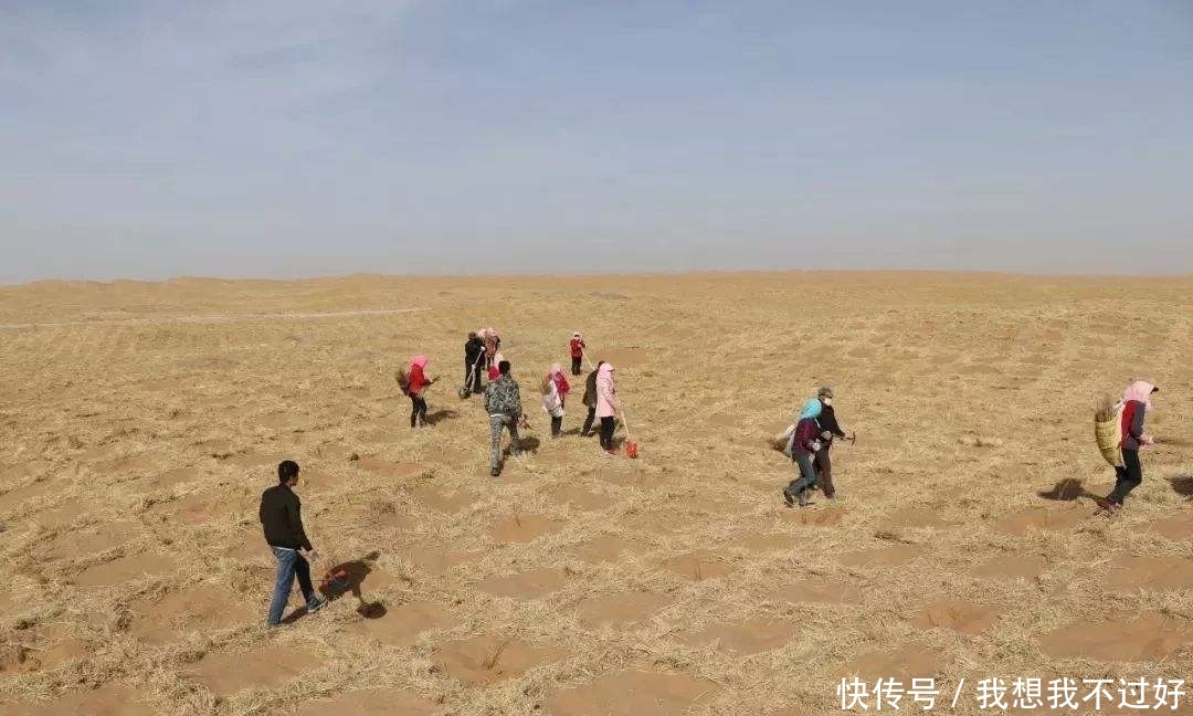 中国治沙30年, 在沙漠种下10亿棵树, 如今向沙漠伸手“要钱”!