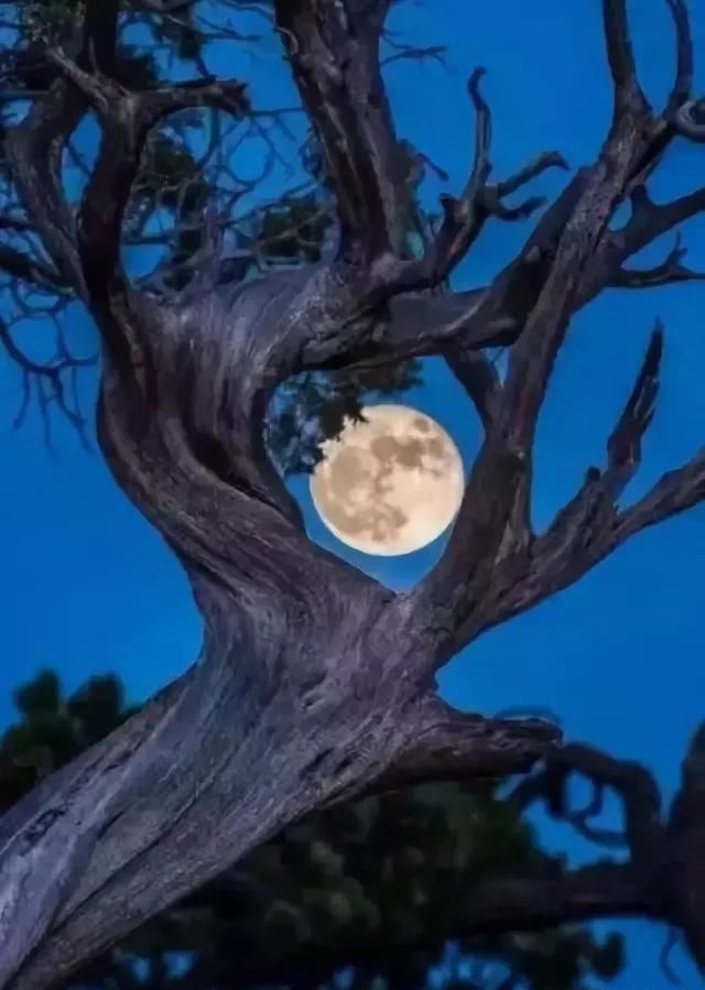 壮美了！发给大家欣赏！