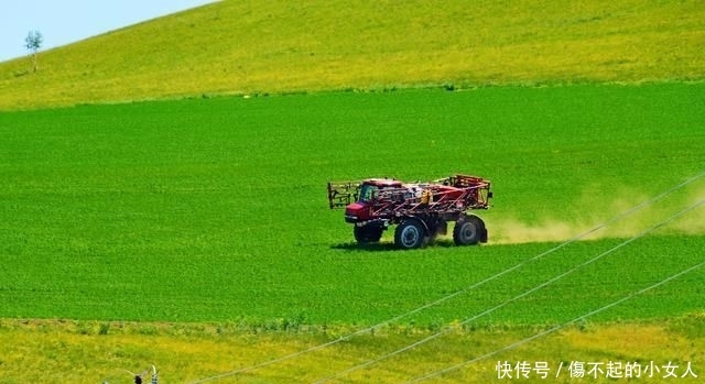 呼伦贝尔最美边防公路