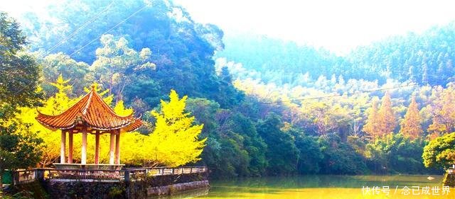  「经济」曾是广东省会，素有“岭南名郡”之誉，现如今却沦为了四线小城