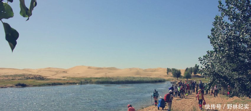 从良田变成荒漠，再从荒漠变成绿洲，这其中到底经历了什么