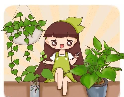  『时髦』给花换个时髦养法，天天浇水都不怕，养10年都没问题！