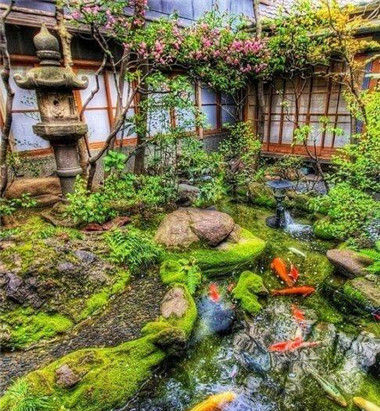  「点缀」庭院池塘, 将庭院点缀的如此诗情画意!