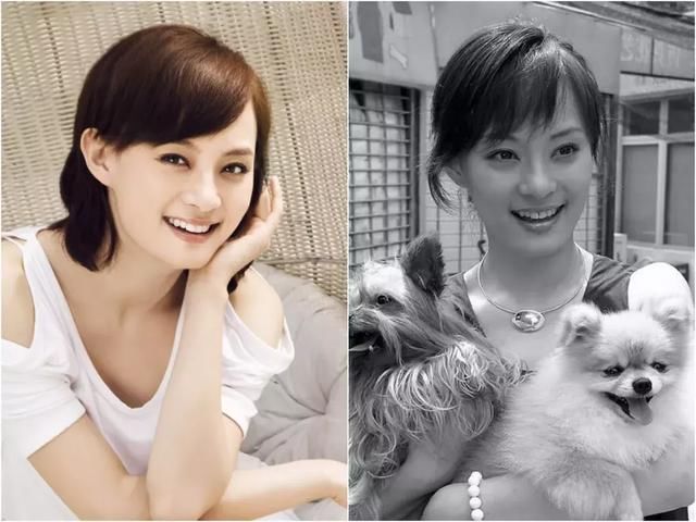 什么发型那么神奇，让郭采洁、刘诗诗美出新高度！