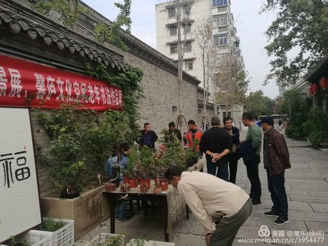  #盆协#徐州收藏家协会(盆景协会和铁路盆协)回龙窝微型盆景