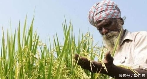  #中国#都是人口大国，为何印度向全世界出口大米，而中国要满世界买大米