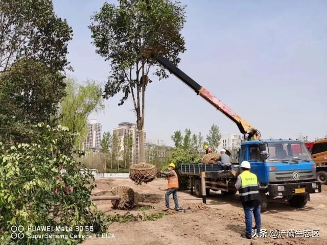  「迎接」迎接十四运 | 美景正在加载，花园浐灞敬请期待！