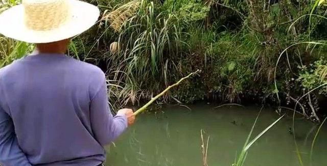  [升级]农村禁令升级后，部分村庄要求“三火”，农民刮头发，能