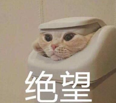  『LOOK』又到了胡乱穿搭的季节？那这一直被嘲的5个LOOK就该粉墨登场