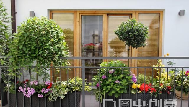 『花架』"阳台太小想养花?教你2个办法变“花园”,整洁漂亮省空间"