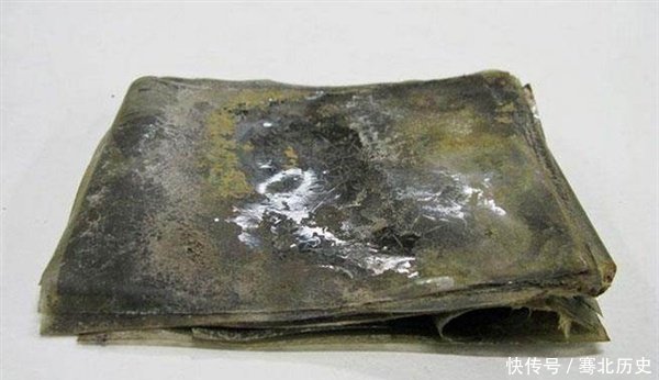 科学家在南极发现100多年前的胶卷,底片冲洗后