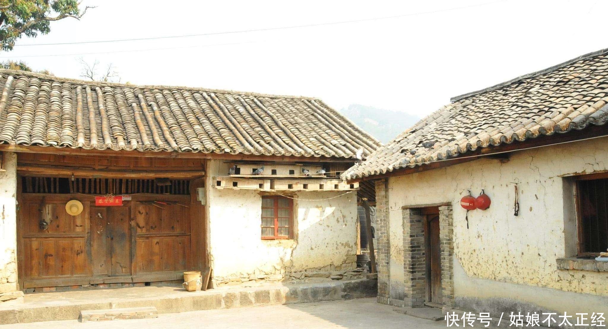 子女将户口迁出去，还能继承农村家里的土地和房子吗？