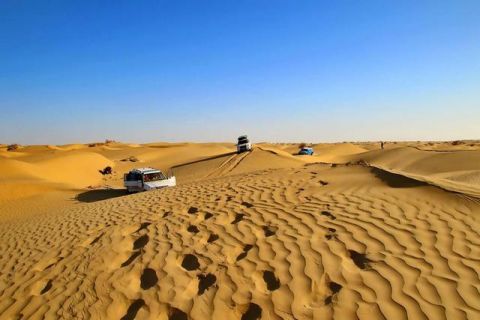  【种植】中国已投资数亿美元在塔克拉玛干沙漠种植大量植物现在