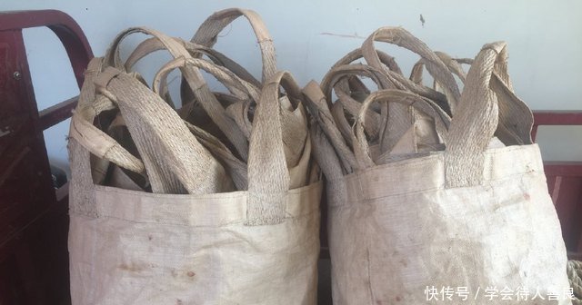 1亩产9000斤，农民种植它，2亩地丰收18000斤