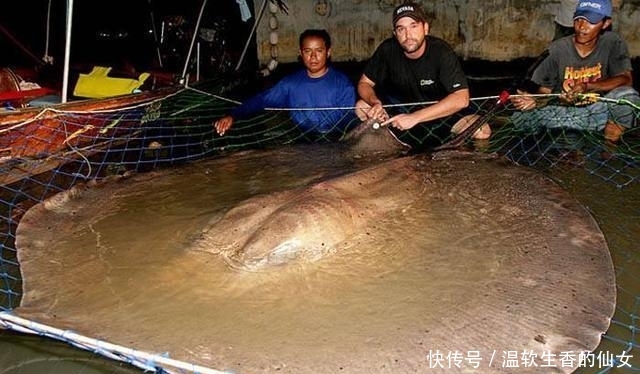 强烈要求李大毛老师停止游钓中国, 远征湄公河降服真正的巨物