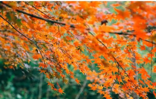  [gdp]2019第一季度各省GDP出炉：前五排名不变，三省突破2万亿