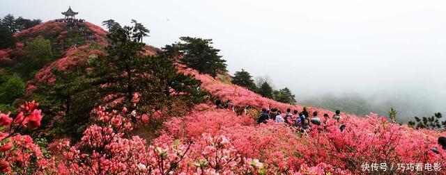  唯一@中国唯一坐拥4条高速3条铁路2个火车站1个机场的“贫困县”