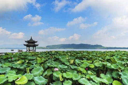 中国最良心景区：坚持16年不收门票，“损失”超过3亿