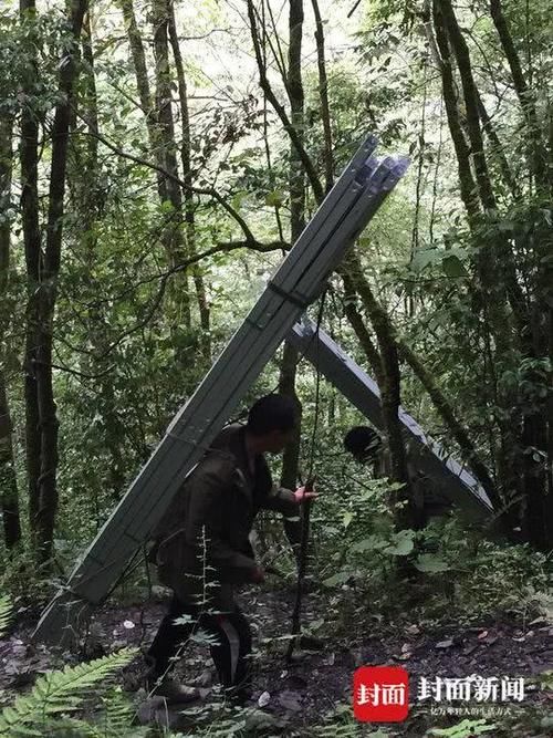 走访200个森林基地 他把“太空舱”搬进大熊猫保护区