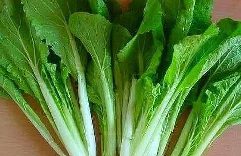  吃不完|阳台种这几样菜，天天有菜摘，吃都吃不完！