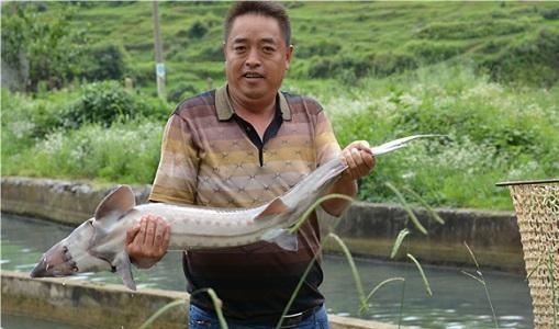 农村3种生意，有人以为很赚钱，殊不知入行的农民，大多都亏惨了