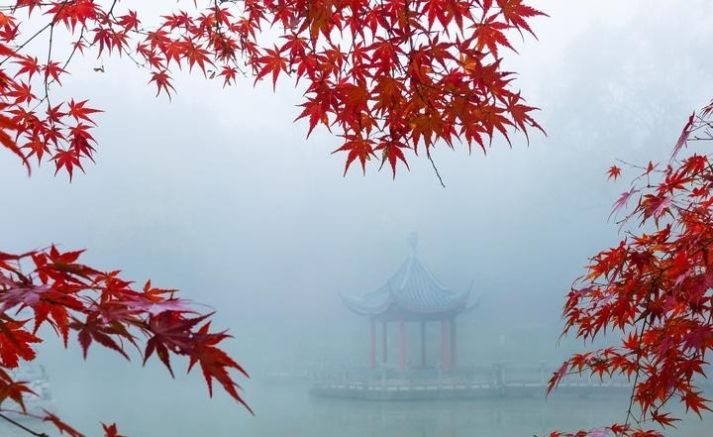 高铁1.5h直达中国最佳赏枫地, 它的红叶季美似日本京都