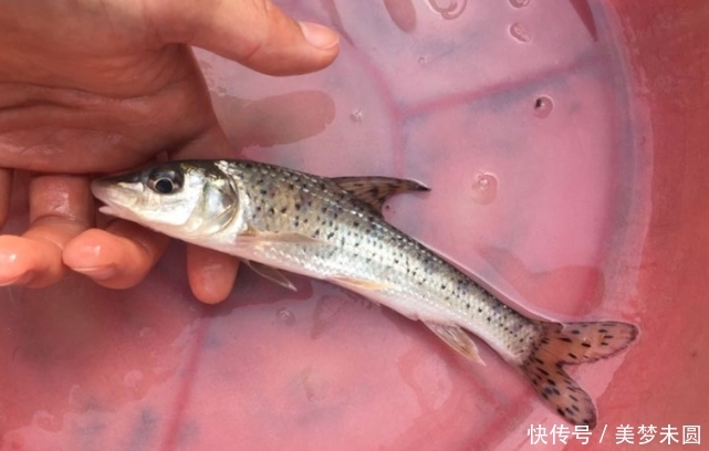  『钓友』钓鱼真的能穷三代？心态摆正，钓鱼真的是个低消费活动