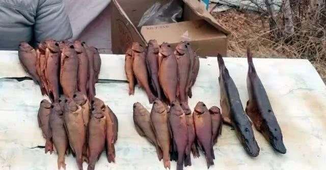 游钓俄罗斯2-开竿的曲折