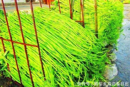 中国人吃腻的东西，出口美国大家抢着买，老外：再贵也得吃！