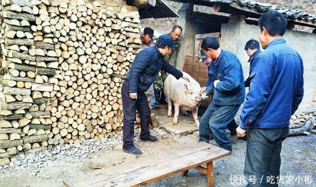  猪肉价格@100斤的生猪能宰多少斤的猪肉？农村小伙告诉你真实答