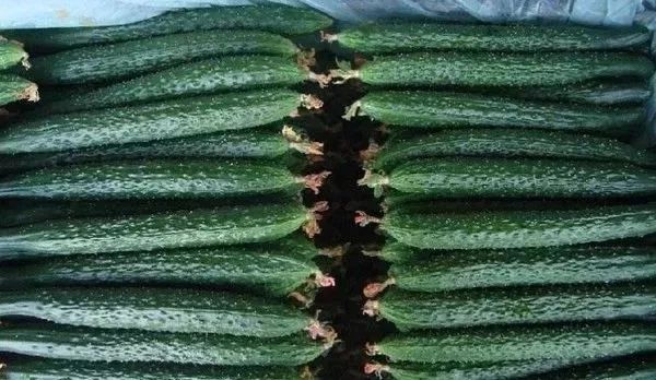 你家一亩地居然值200万！快看看，不知道可就亏大了......